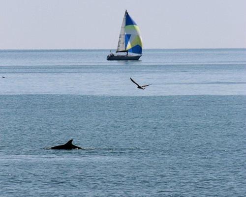 B&B Attico Mare San Benedetto del Tronto Eksteriør billede